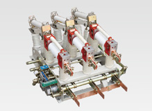 FZN21-12D戶內真空...